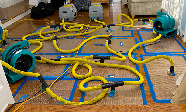 Professional Basement Flood Cleanup technician working in Junction City, KY